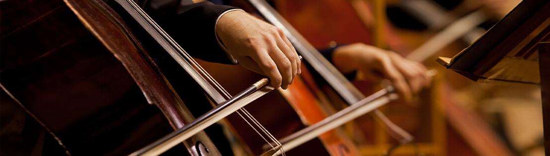 A side shot of a group of cellos being played